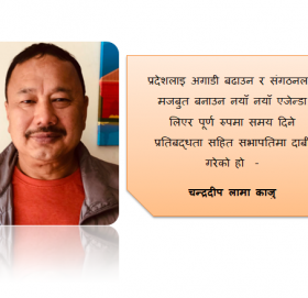 संगठनलाइ मजबुत बनाउन नयाँ एजेण्डा सहित पूर्ण रुपमा समय दिने प्रतिबद्धता सहित सभापतिमा दाबी गरेको हो